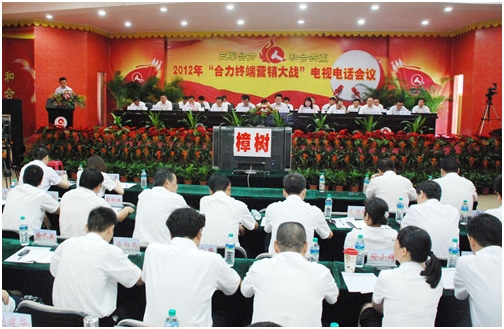 集團(tuán)公司召開全國營銷電視電話會(huì)議