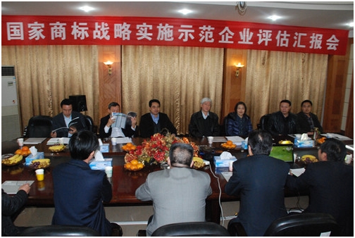 國家商標(biāo)戰(zhàn)略實(shí)施示范工作督導(dǎo)組到仁和集團(tuán)檢查指導(dǎo)工作